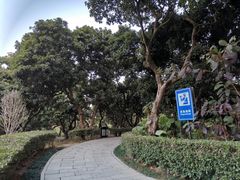 -月亮湾公园