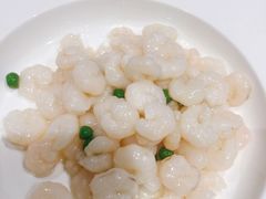 -乔家栅(襄阳南路店)