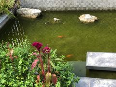 -川流不息(北蔡休闲广场店)