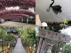 -南汇桃花村