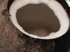 原汁椰子炖乌鸡-汤城小厨•粤菜•靓汤(西直门凯德MALL店)