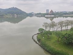 -顺峰山公园