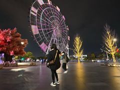 -南昌之星摩天轮