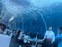 -海棠湾洲际-涛·海底餐厅·美人鱼·自助餐·海底隧道