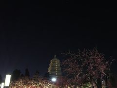 -大雁塔北广场音乐喷泉