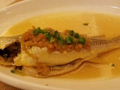 豆酱姜丝蒸黄花鱼-潮皇食府(北京店)