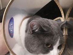 -萌兽医馆·犬猫专科·眼科中心·宠物医院(朝阳门分院)
