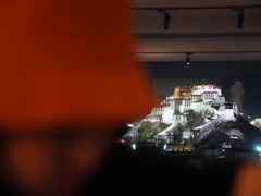 -平措康桑·和牛自助观景餐厅(布达拉宫店)