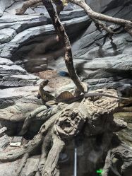 -Zoolung Zoolung动物主题公园(海信广场店)