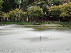 -温江公园