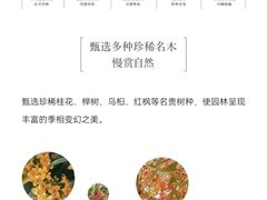 -融创·外滩壹号院