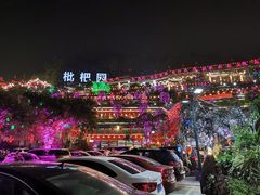 -枇杷园食为鲜火锅(南山店)