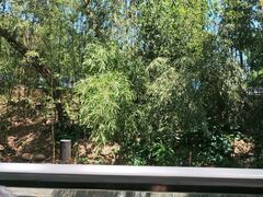 -丽泽山庄·生态怀柔菜·虹鳟鱼(红螺寺店)