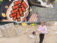 -文昌阁