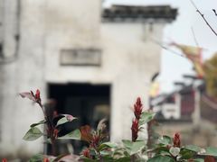 -张家港凤凰山景区恬庄古街