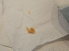 -潮人潮品隆江猪脚饭(城壹汇·流花店)