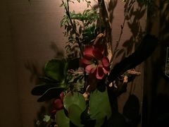 -华夏良子·足道SPA艾灸(王府井店)