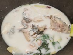 -鲜潭蒸汽石锅鱼(五道口购物中心店)