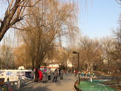 -丰台花园