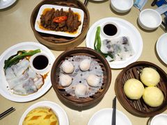 -满福隆酒楼(万绿园店)