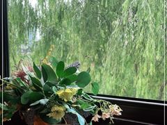 -IFIF 如果花園(宽厚里店)