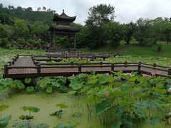 -黄陂区野村谷景区