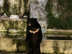 -清迈夜间动物园