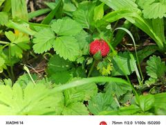 -黑龙江省森林植物园