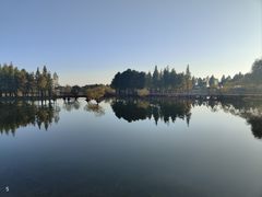 -贡湖湾湿地公园