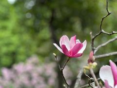 -广州珠江公园
