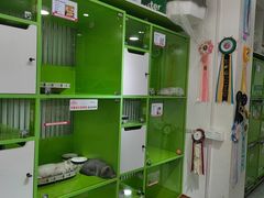 -唐小姐の猫狗洗护·购宠旗舰店(周浦万达店)