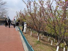 -艾溪湖湿地公园