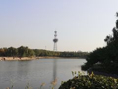 -大兴滨河森林公园