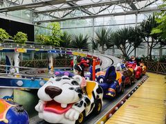 -南宫五洲植物乐园