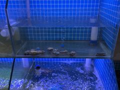 -面道赞宁海海鲜面(迎凤街店)