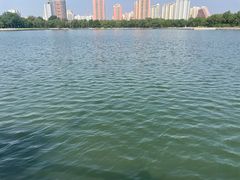 -莲花池公园