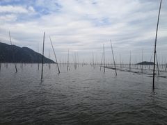 -北岐滩涂