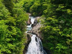 -楠柏弯休闲山庄(梨花溪店)