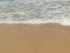 -钱大妈海鲜饭店(保利林语店)