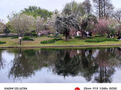 -上海共青森林公园