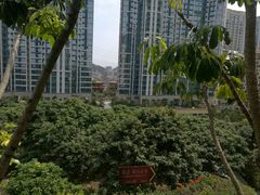 -西北大学(桃园校区)