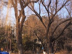 -二一九公园