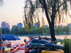 -WhaleSports户外水上运动俱乐部(朝阳公园店)