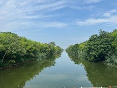 -黄海国家森林公园