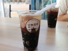 -贝壳梦幻世界