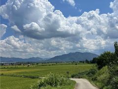 -长广溪湿地公园