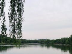 -羊山湖公园