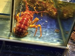 -海鲜城大家餐厅