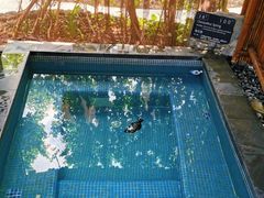 -海口观澜湖火山温泉谷