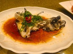 -新世纪大酒楼·30年南海菜